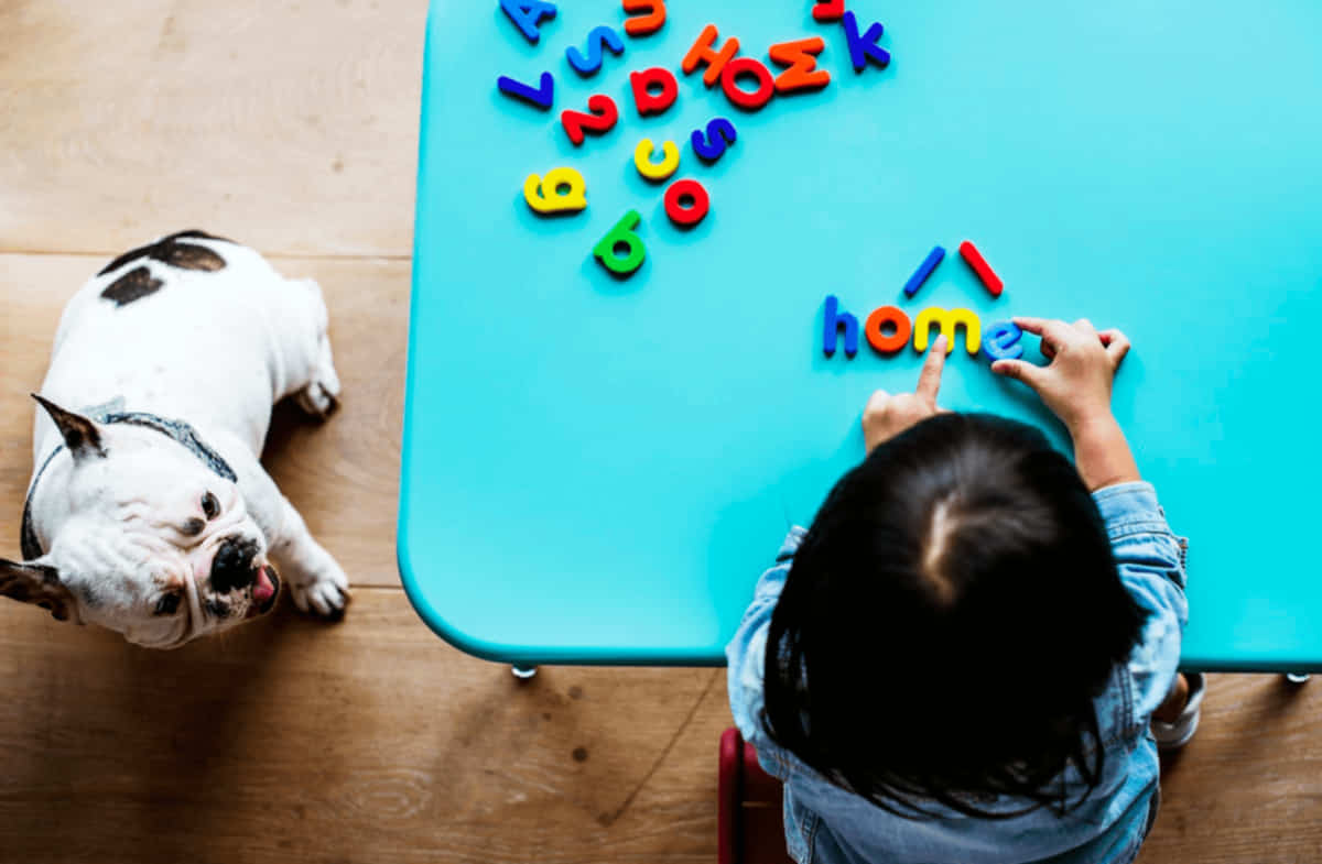 Fundo Jogos Online Para Aprendizagem De Educação Infantil Foto E