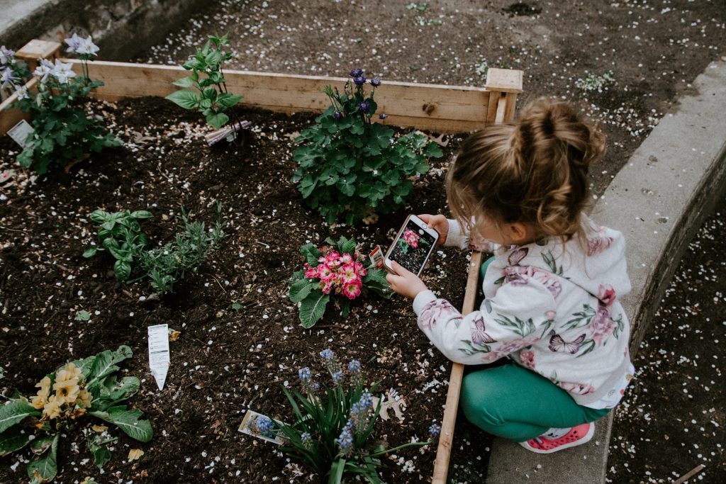 Criança fotografando uma flor no jardim, demonstrando a interdisciplinaridade na Educação Infantil,  explorando a própria escola.