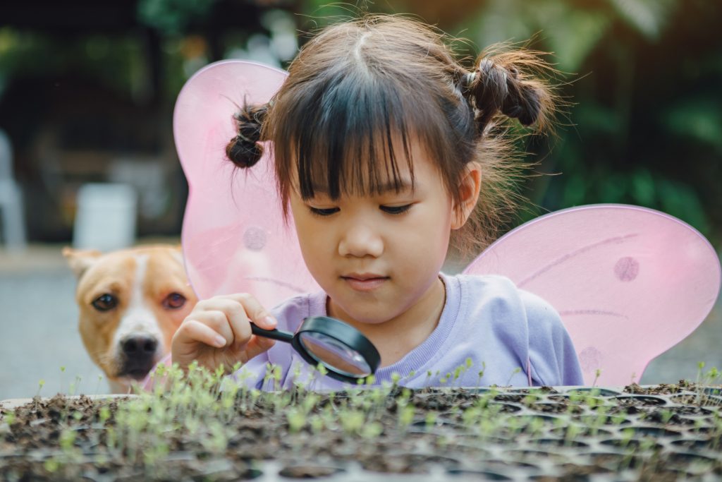 Criança olhando para horta criada no projeto de sustentabilidade na escola.